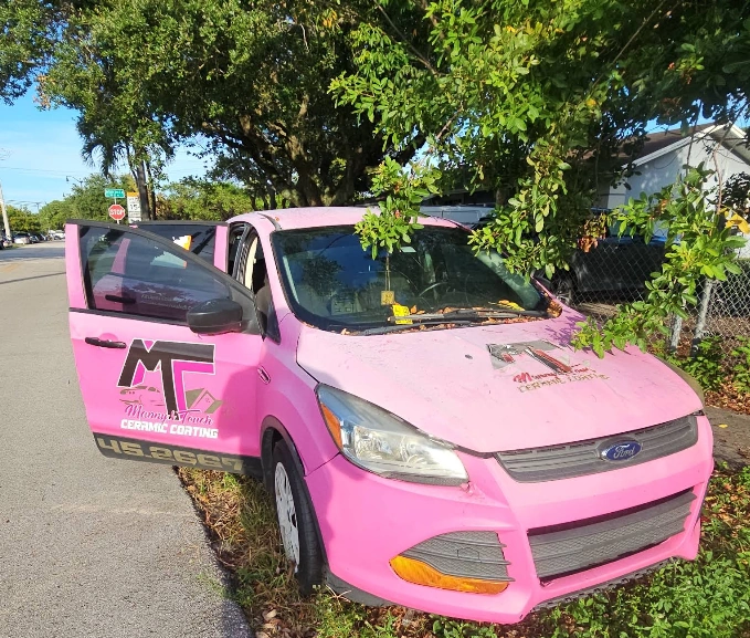 Pink Ford Escape parked curbside, an example of the kind of vehicle owners sell before moving out of Florida